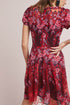 Rosa Lace Dress